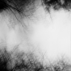 analoges