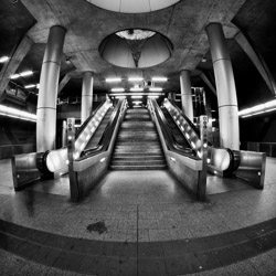 unbuntes